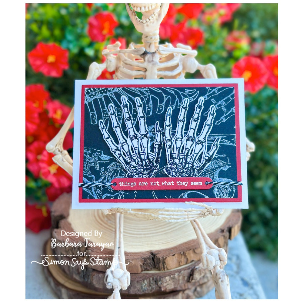 Tim Holtz Cling Rubber Stamps Anatomy Chart cms411 skeleton hands red and blue card barbara tarayao