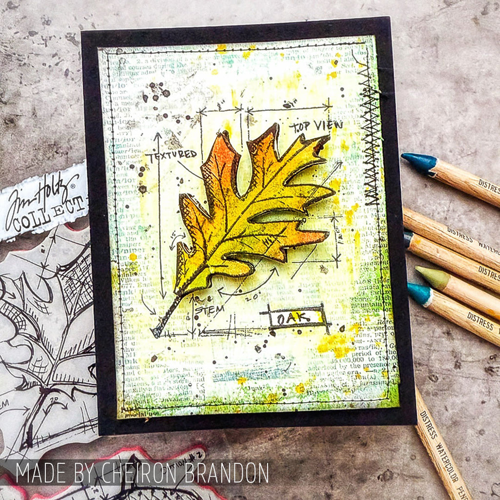 Tim Holtz Cling Rubber Stamps Autumn Blueprint cms133 oak