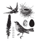 Tim Holtz Cling Rubber Stamps BIRD FEATHER cms180