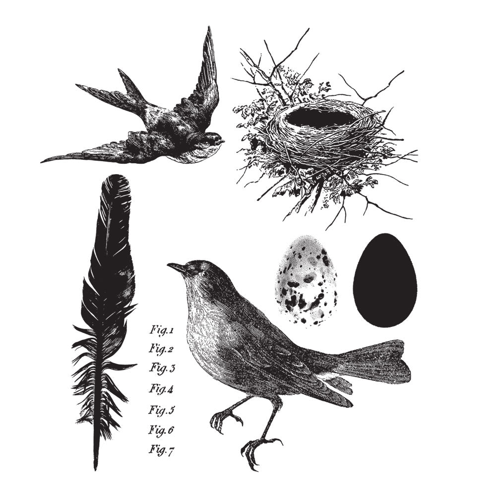 Tim Holtz Cling Rubber Stamps BIRD FEATHER cms180
