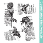 Tim Holtz Cling Rubber Stamps Botanic Collage cms447
