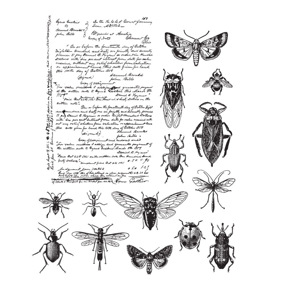 Tim Holtz Cling Rubber Stamps ENTOMOLOGY CMS328