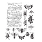 Tim Holtz Cling Rubber Stamps ENTOMOLOGY CMS328