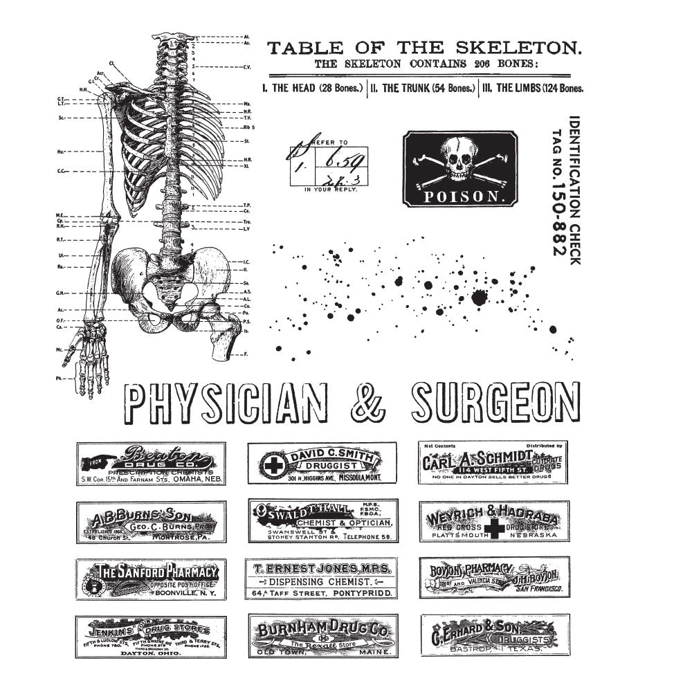 Tim Holtz Cling Rubber Stamps EXAMINATION CMS412