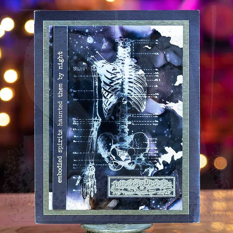 Tim Holtz Cling Rubber Stamps EXAMINATION CMS412 skeleton