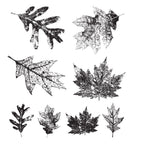 Tim Holtz Cling Rubber Stamps FALLING LEAVES cms097