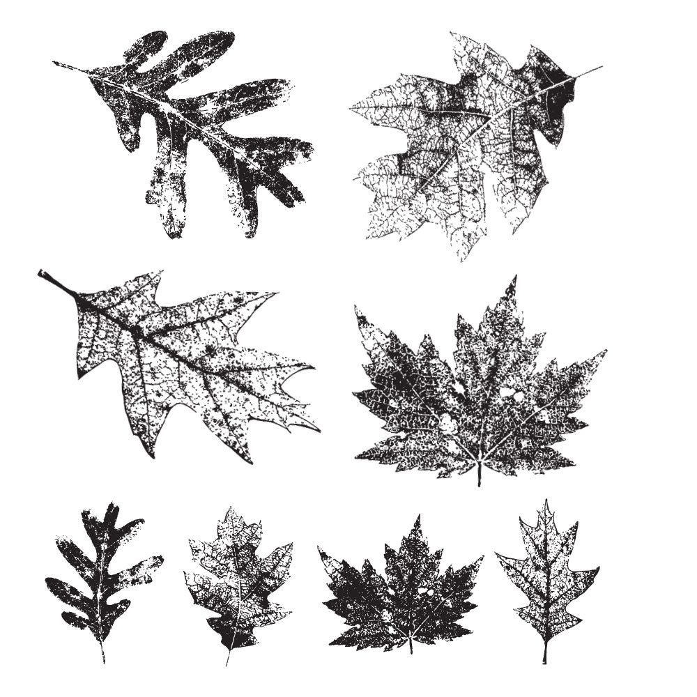 Tim Holtz Cling Rubber Stamps FALLING LEAVES cms097