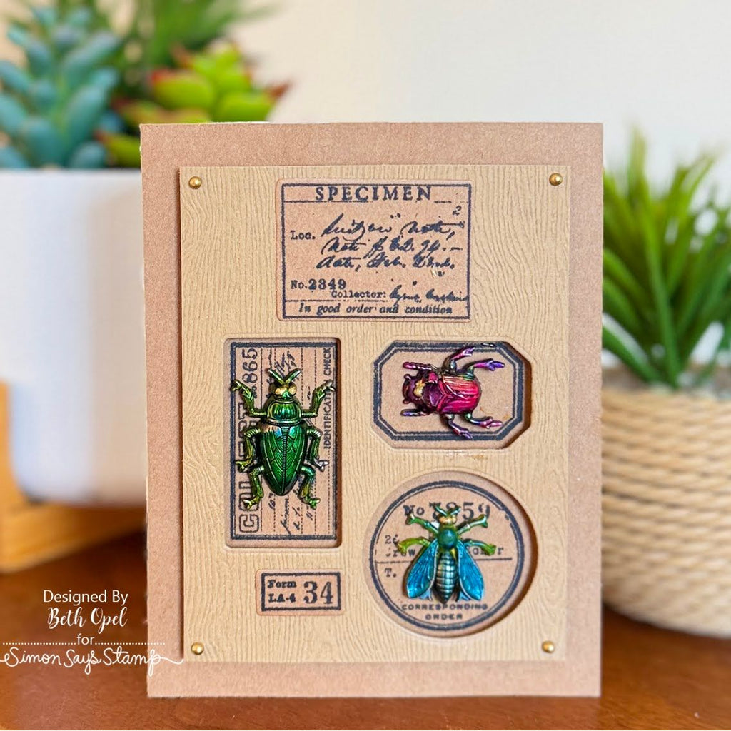 Tim Holtz Cling Rubber Stamps Field Notes cms396 beth opel bugs