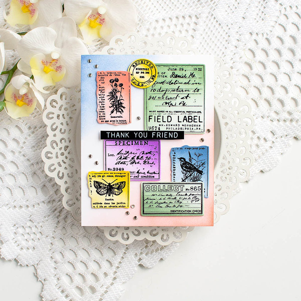 Tim Holtz Cling Rubber Stamps Field Notes cms396 lots of color