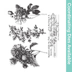 Tim Holtz Cling Rubber Stamps Flower Shop cms401