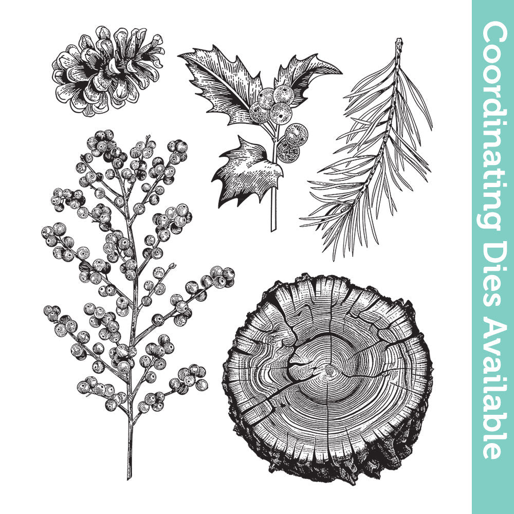 Tim Holtz Cling Rubber Stamps Forest Floor 2 cms497