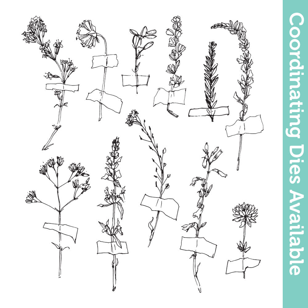 Tim Holtz Cling Rubber Stamps Forgotten Garden cms481