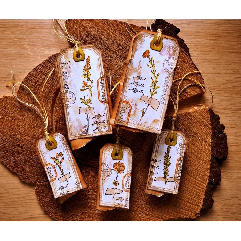 Tim Holtz Cling Rubber Stamps Forgotten Garden cms481 tags | color-code:ALT01