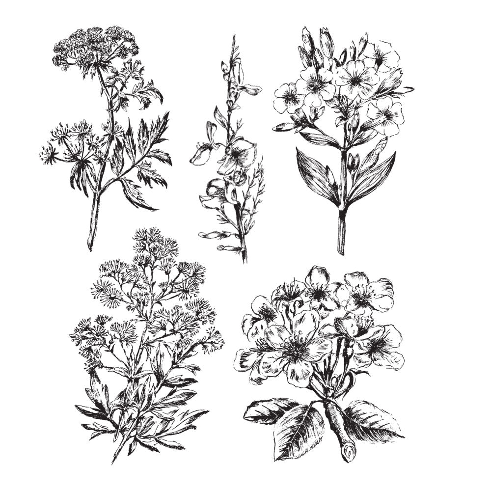 Tim Holtz Cling Rubber Stamps ILLUSTRATED GARDEN CMS295