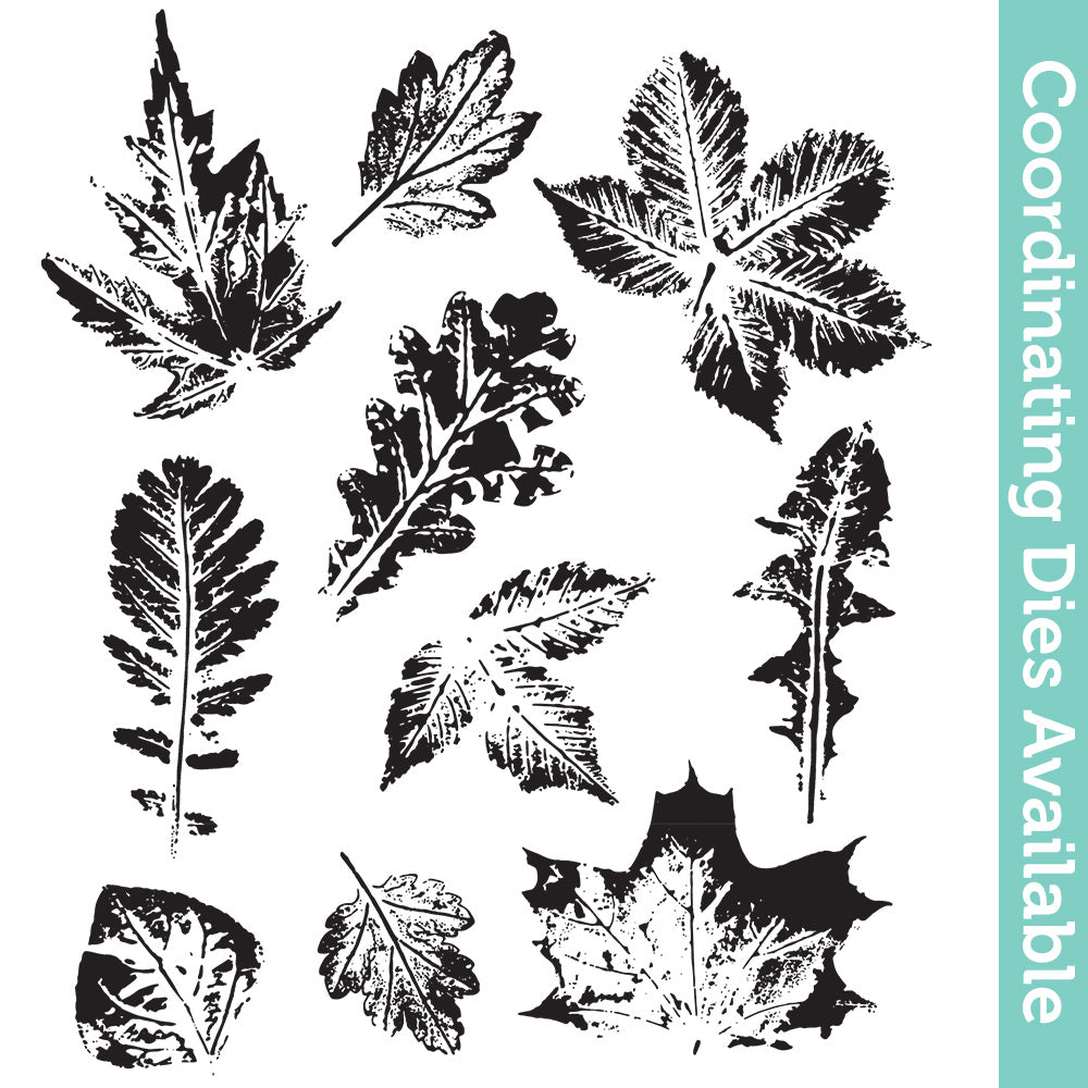 Tim Holtz Cling Rubber Stamps Leaf Prints 2 cms450
