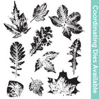 Tim Holtz Cling Rubber Stamps Leaf Prints 2 cms450