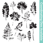 Tim Holtz Cling Rubber Stamps Leaf Prints cms273