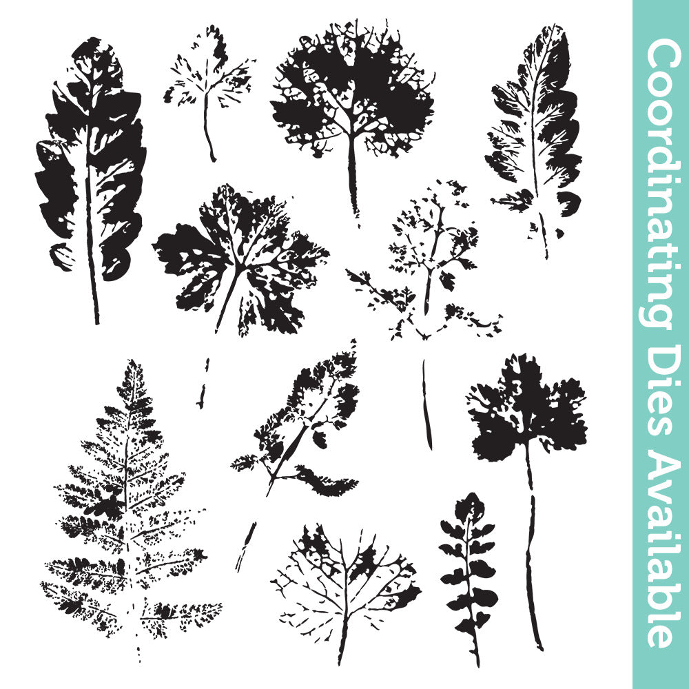 Tim Holtz Cling Rubber Stamps Leaf Prints cms273