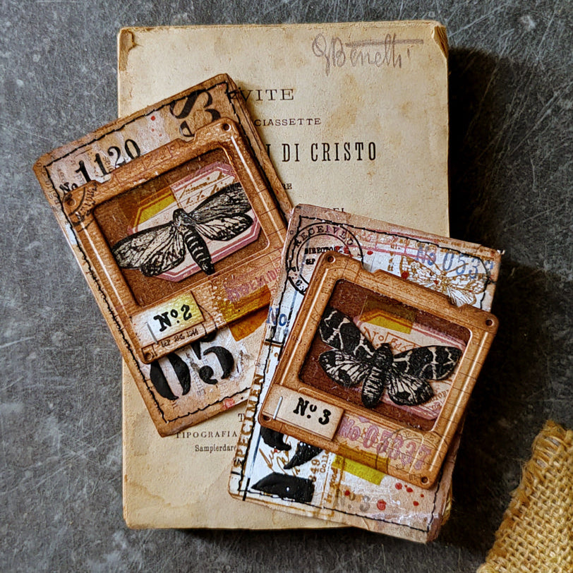Tim Holtz Cling Rubber Stamps MOTH STUDY CMS436 numbers | color-code:ALT01