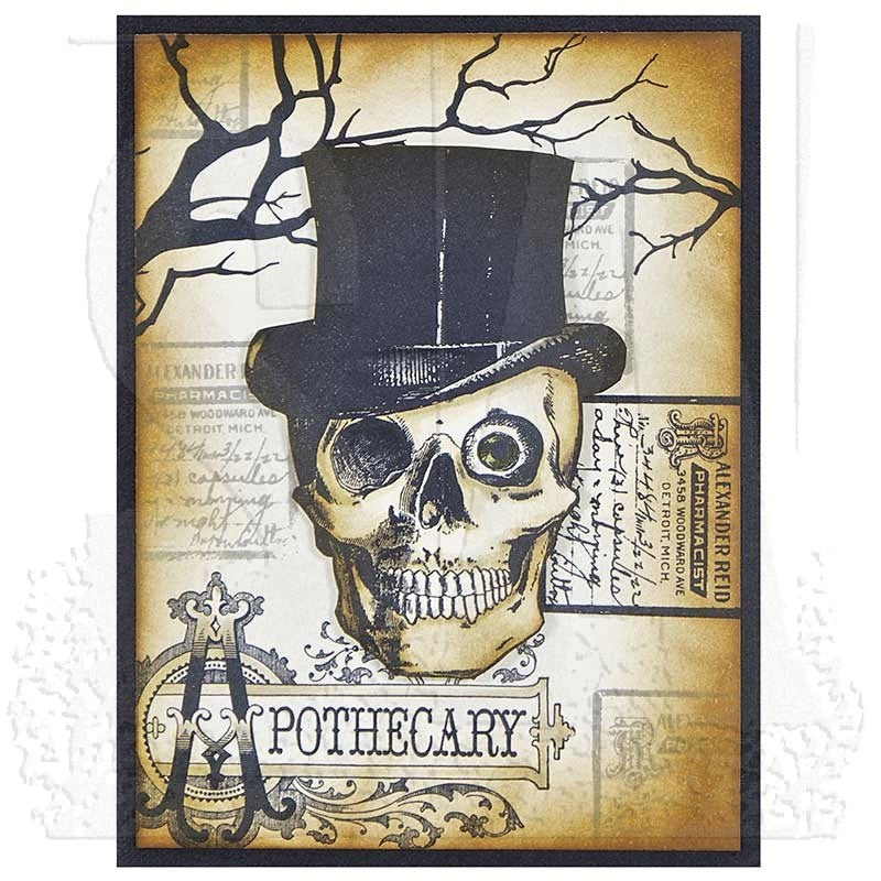 Tim Holtz Cling Rubber Stamps MR BONES CMS345 apothecary
