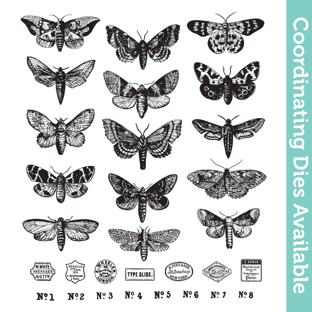 Tim Holtz Cling Rubber Stamps Moth Study cms436 1