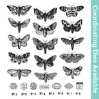 Tim Holtz Cling Rubber Stamps Moth Study cms436 1