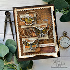 Tim Holtz Cling Rubber Stamps Moth Study cms436 brown clock card cathie cowles