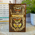 Tim Holtz Cling Rubber Stamps Moth Study cms436 find joy wooden box tami bastiaans