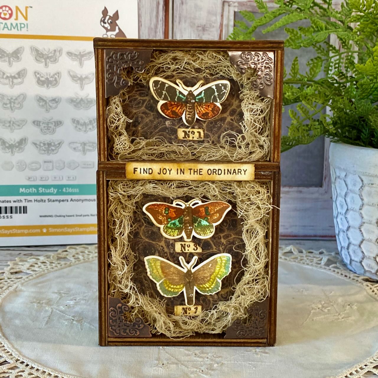Tim Holtz Cling Rubber Stamps Moth Study cms436 find joy wooden box tami bastiaans