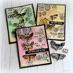 Tim Holtz Cling Rubber Stamps Moth Study cms436 green yellow pink polka dots cards