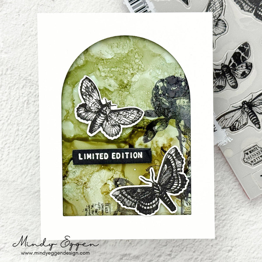 Tim Holtz Cling Rubber Stamps Moth Study cms436 limited edition green background card mindy eggen