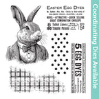 Tim Holtz Cling Rubber Stamps Mr. Rabbit cms478
