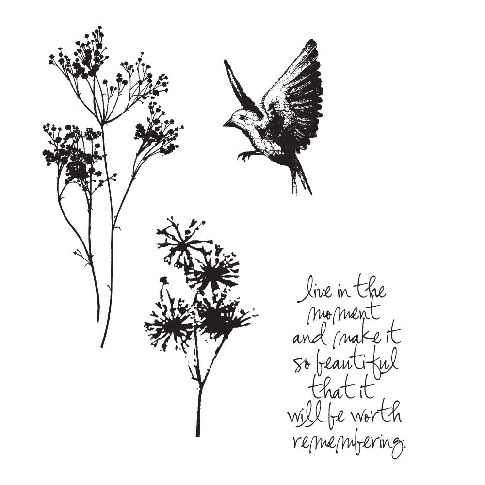 Tim Holtz Cling Rubber Stamps NATURE'S MOMENTS CMS001