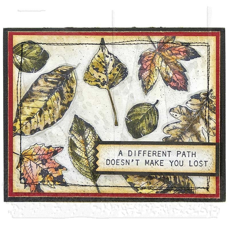 Tim Holtz Cling Rubber Stamps NATURE'S WONDER CMS343 different path