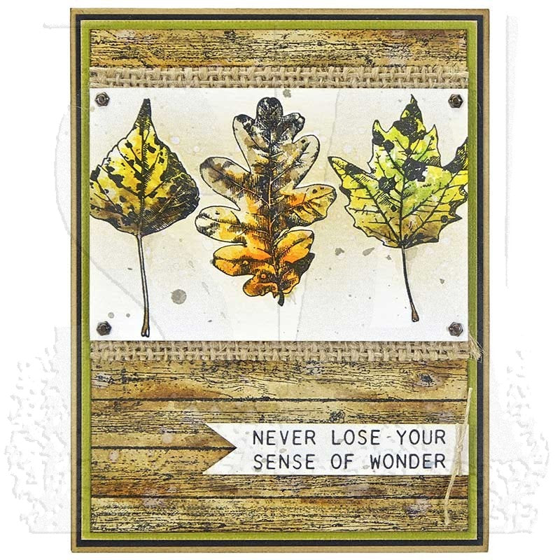 Tim Holtz Cling Rubber Stamps NATURE'S WONDER CMS343 leaves