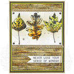 Tim Holtz Cling Rubber Stamps NATURE'S WONDER CMS343 leaves
