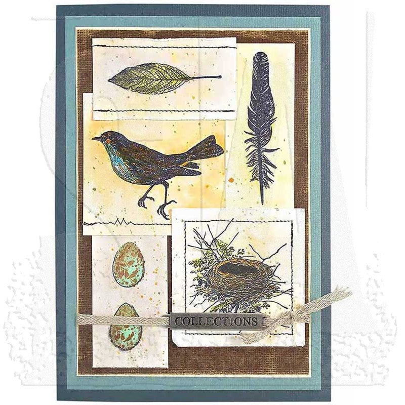 Tim Holtz Cling Rubber Stamps NATURE WALK cms181 feather
