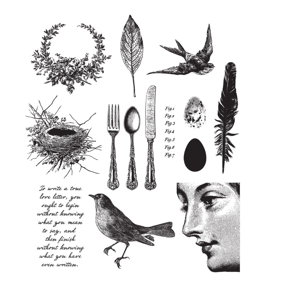 Tim Holtz Cling Rubber Stamps NATURE WALK cms181