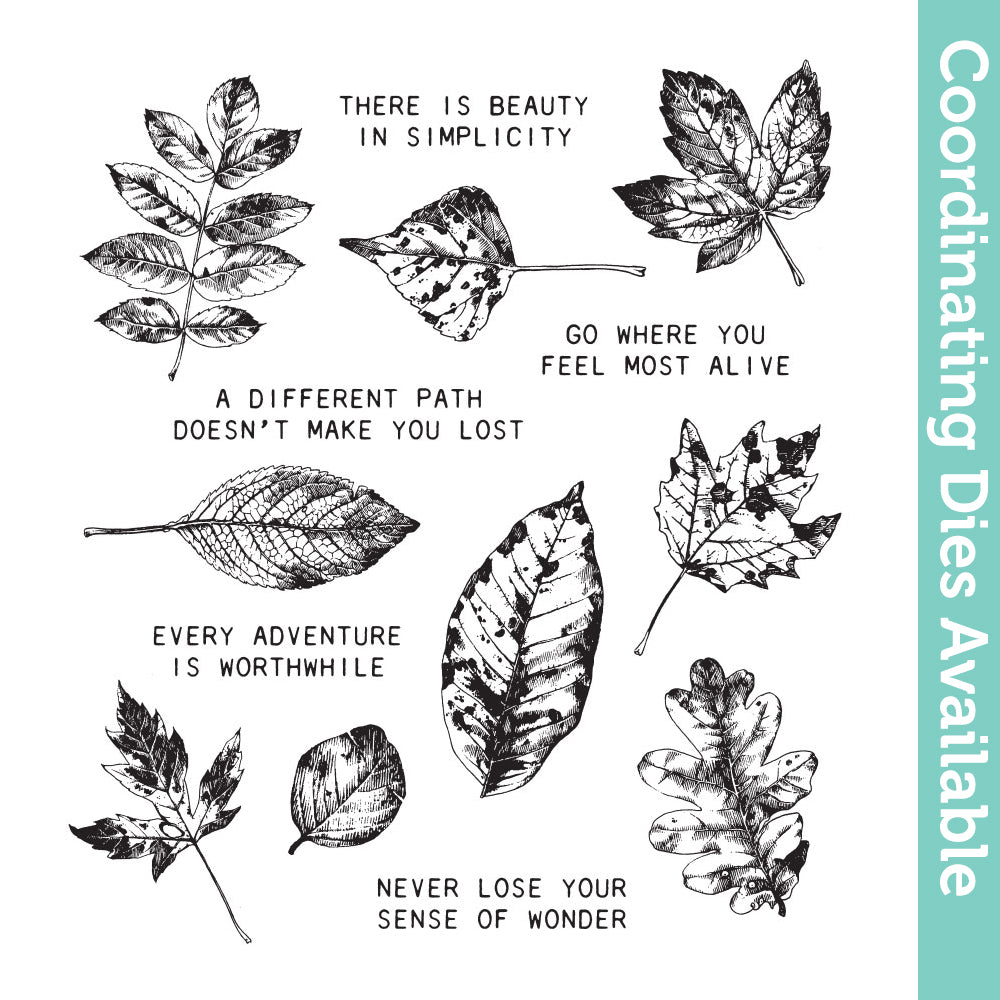 Tim Holtz Cling Rubber Stamps Nature's Wonder cms343 1