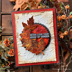Tim Holtz Cling Rubber Stamps Nature's Wonder cms343 beauty embossed