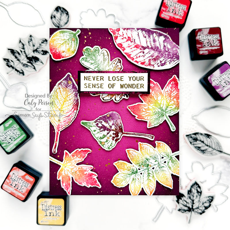 Tim Holtz Cling Rubber Stamps Nature's Wonder cms343 rainbow wonder