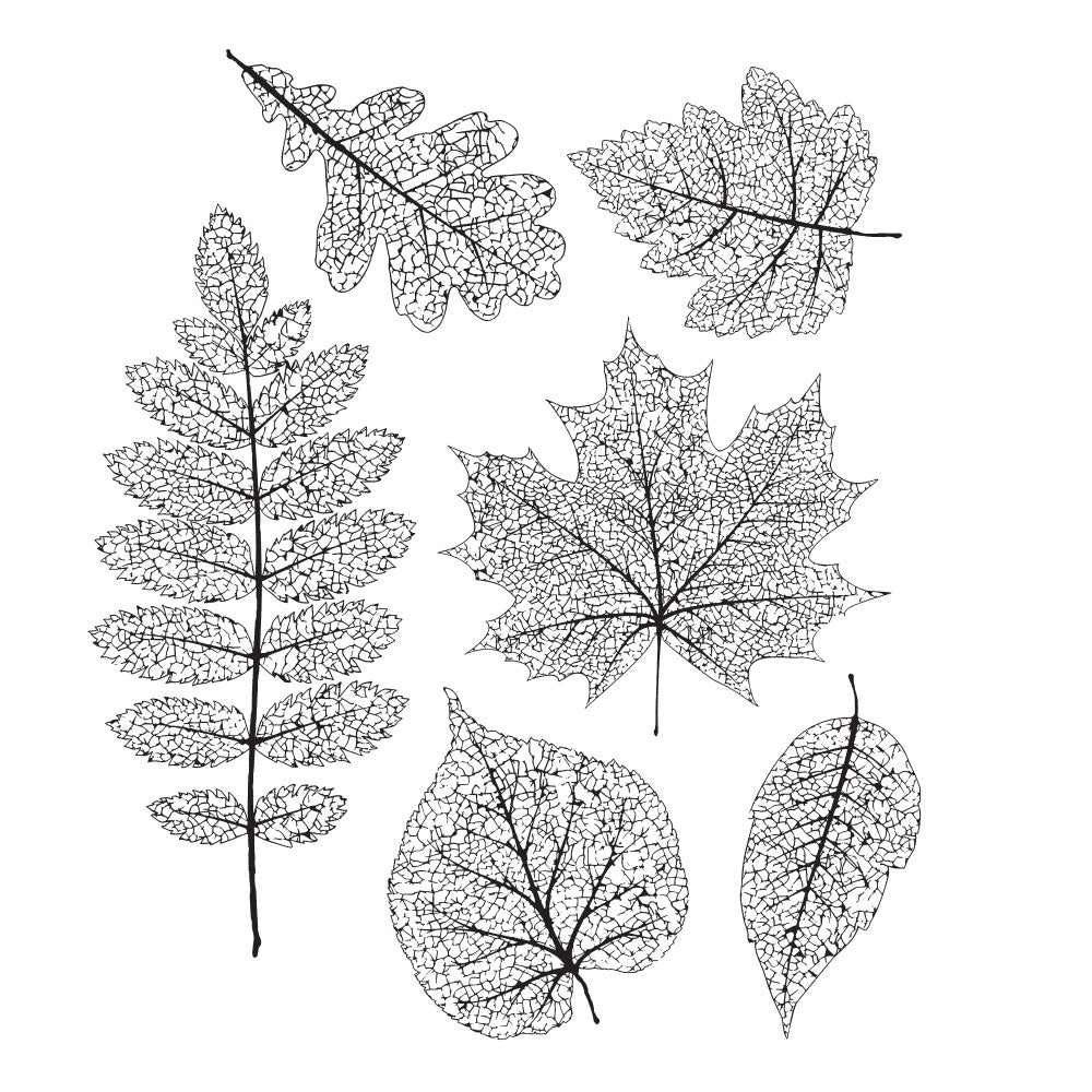 Tim Holtz Cling Rubber Stamps PRESSED FOLIAGE CMS376