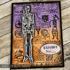 Tim Holtz Cling Rubber Stamps Poisonous CMS171 skeleton spooky card ruth hagan