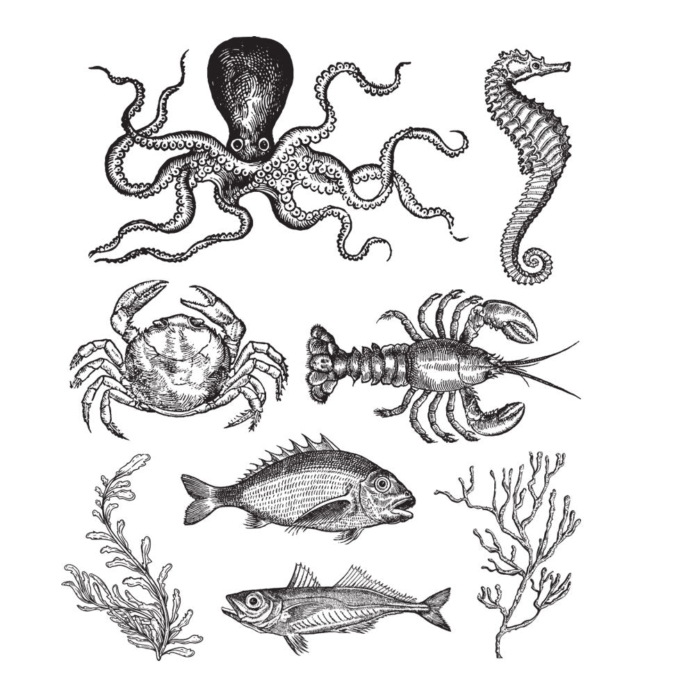 Tim Holtz Cling Rubber Stamps SEA LIFE CMS304