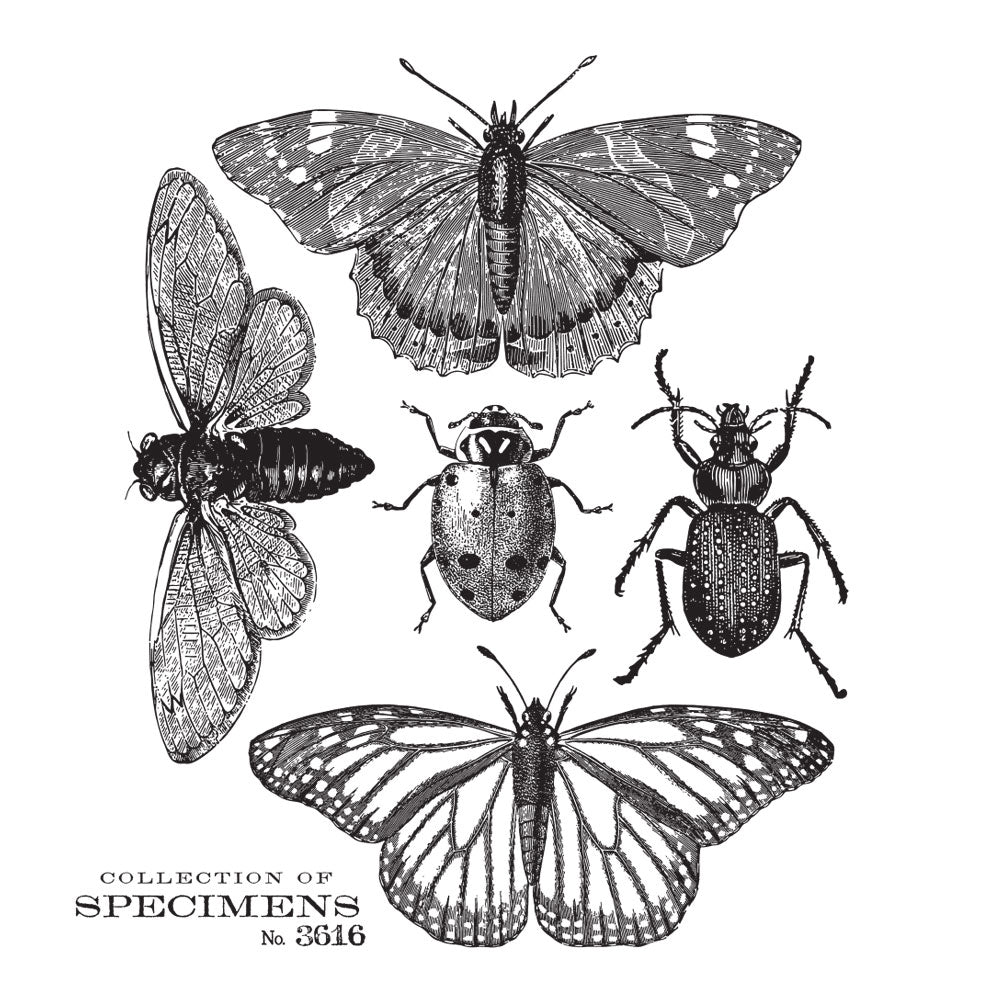 Tim Holtz Cling Rubber Stamps SPECIMEN CMS410