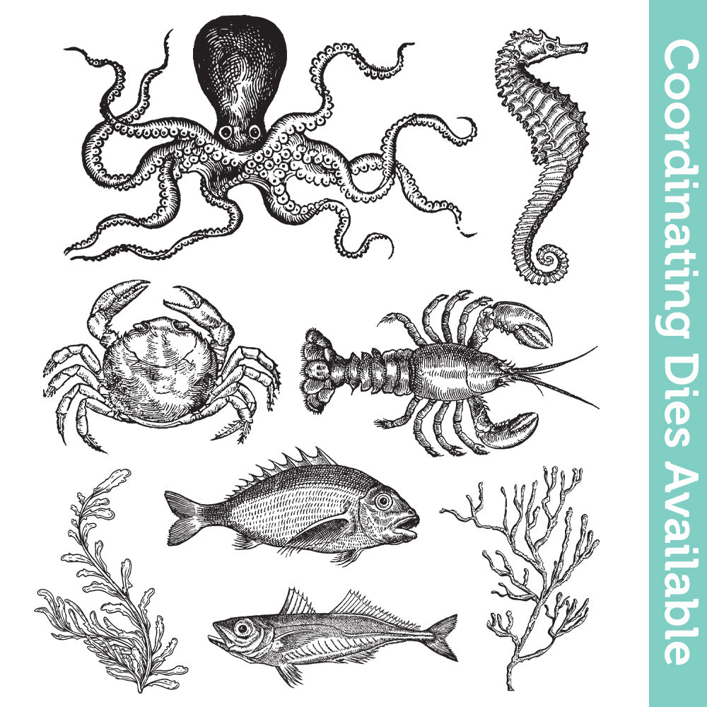 Tim Holtz Cling Rubber Stamps Sea Life cms304 1