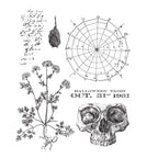 Tim Holtz Cling Rubber Stamps The Obscure cms471