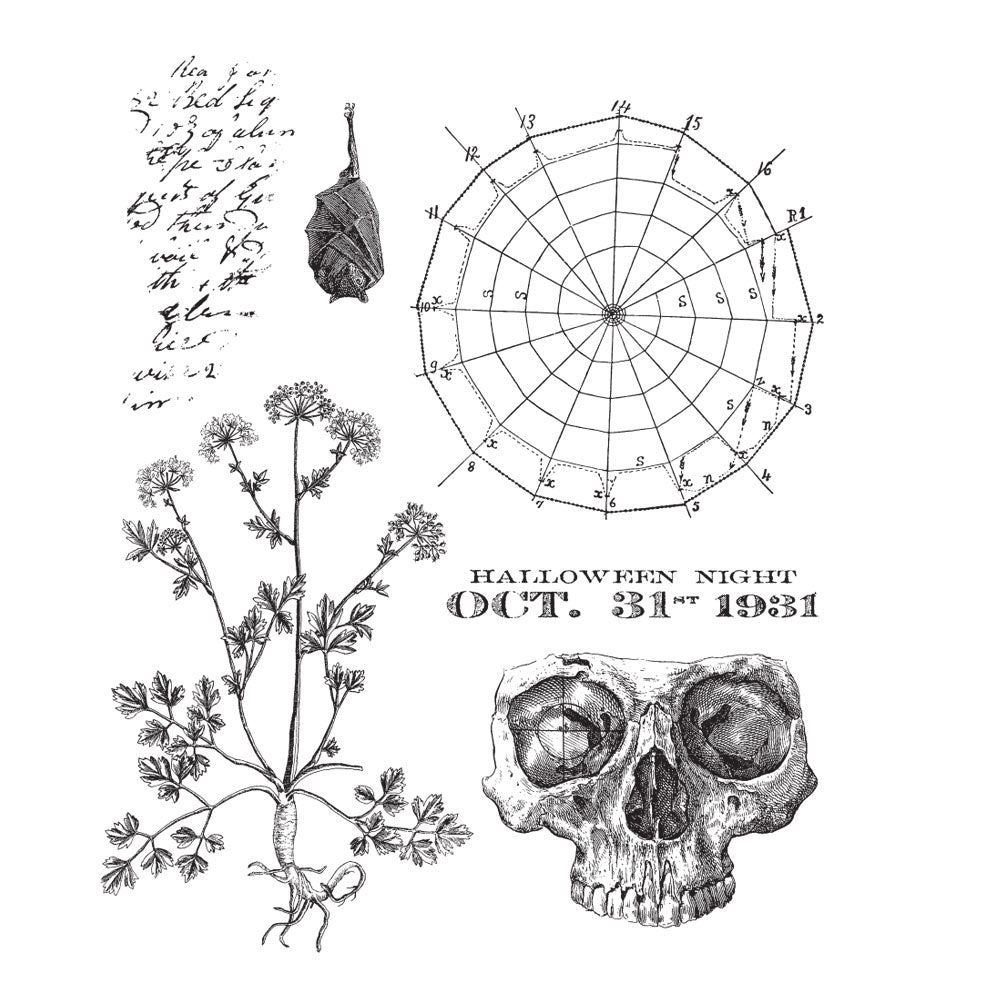 Tim Holtz Cling Rubber Stamps The Obscure cms471