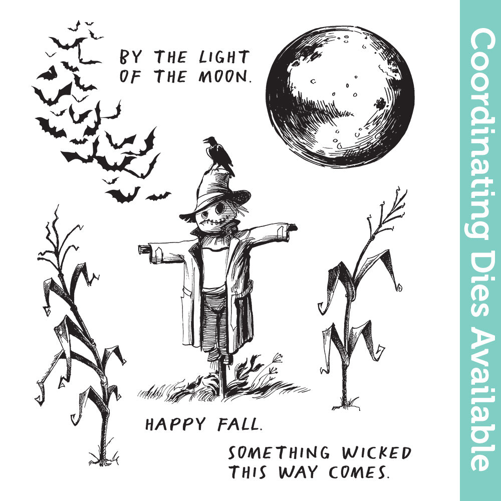 Tim Holtz Cling Rubber Stamps The Scarecrow cms451