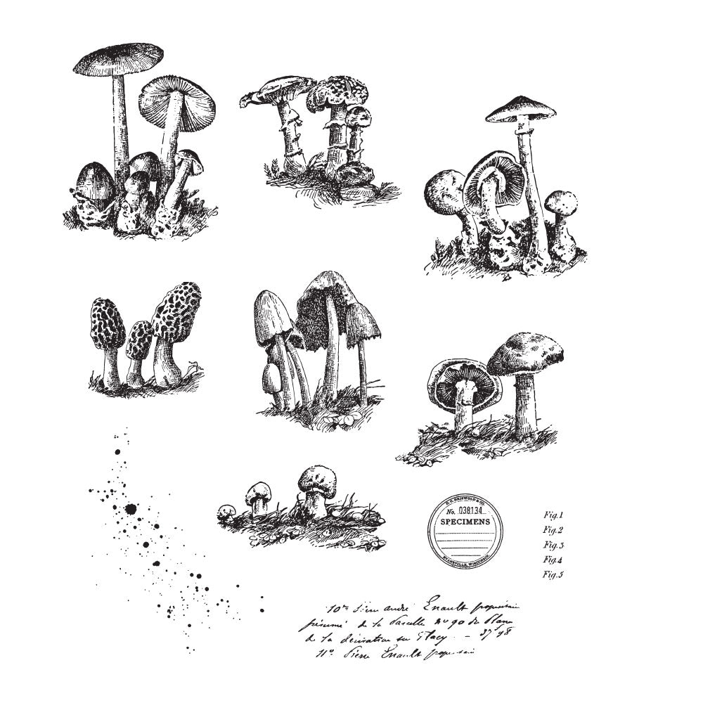 Tim Holtz Cling Rubber Stamps Tiny Toadstools cms377